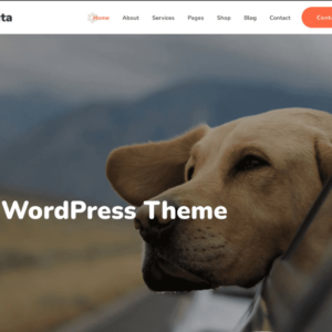 Valkuta - Pet WordPress Theme